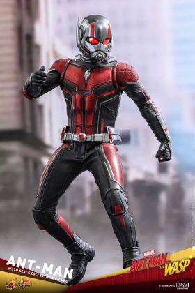 Hot Toys Ant-Man Collectible Figure Ant-Man and The Wasp